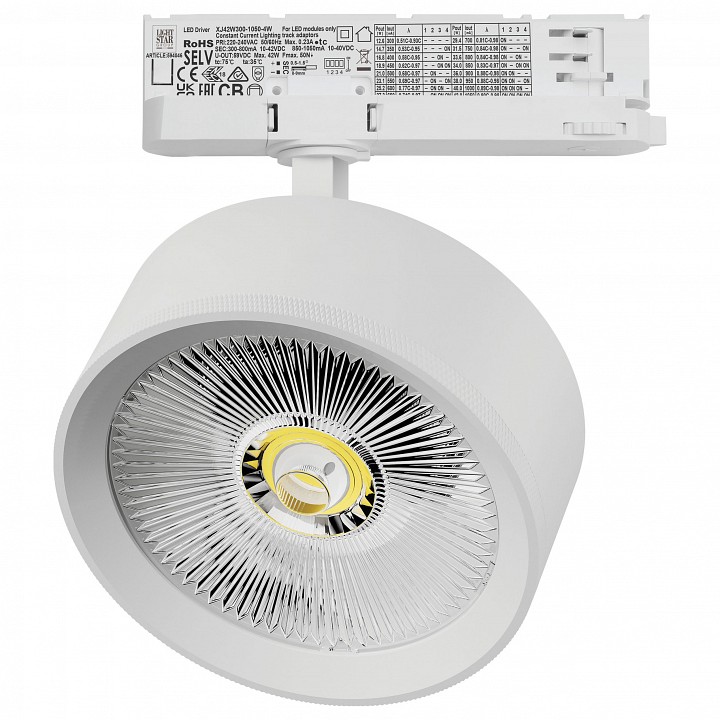 Светильник на штанге Lightstar Alta Pro A5736QT