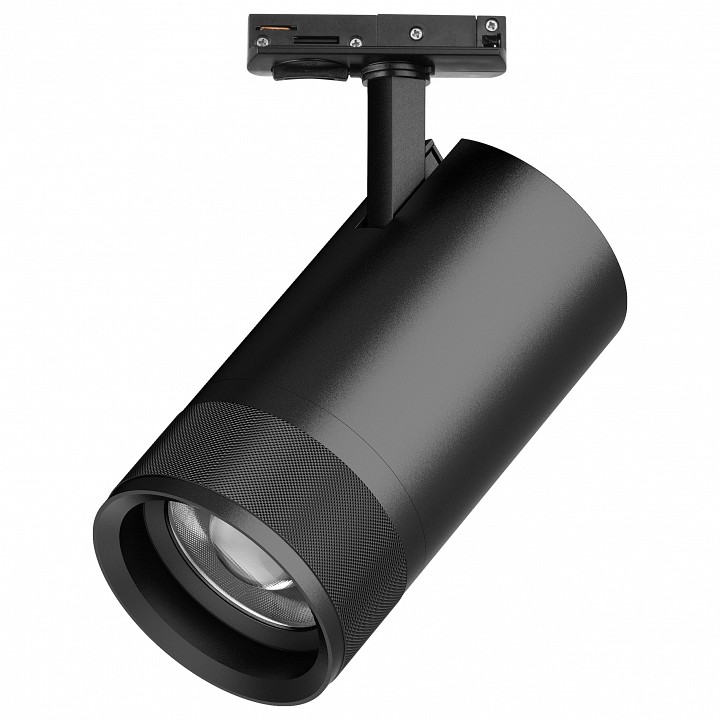Светильник на штанге Lightstar Canno Pro C4407SS