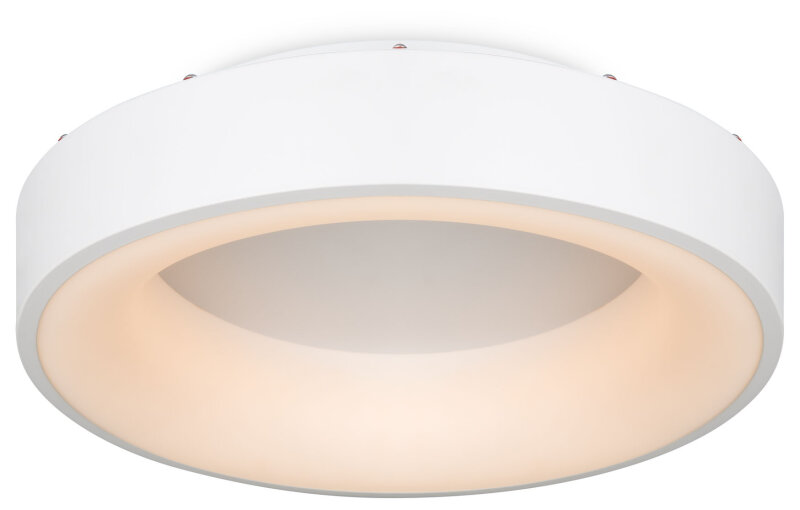 Накладной светильник Freya Люмикс FR6118CL-L45W