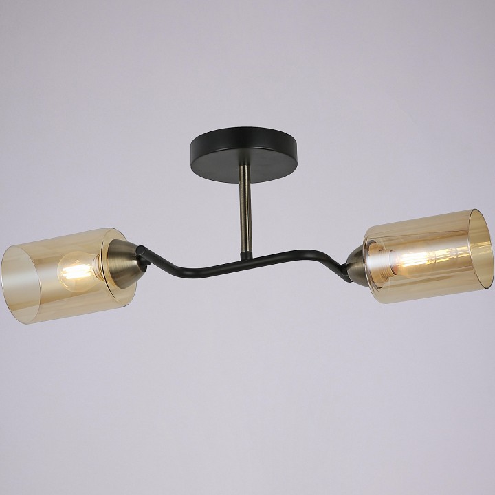 Светильник на штанге ILLUMICO Bice IL8148-2COU-79 BK BR Bice