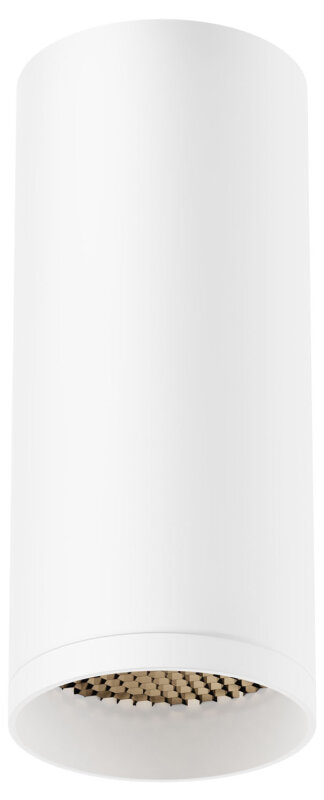 Накладной светильник Maytoni Technical Focus C010CL-01W-N