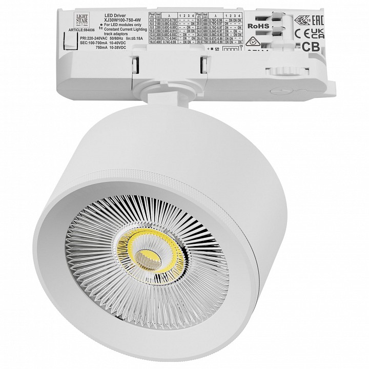 Светильник на штанге Lightstar Alta Pro A5546QT