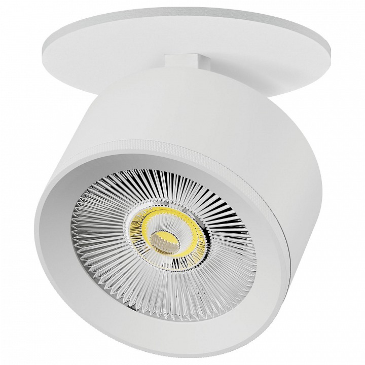 Спот Lightstar Alta Pro A5546RS