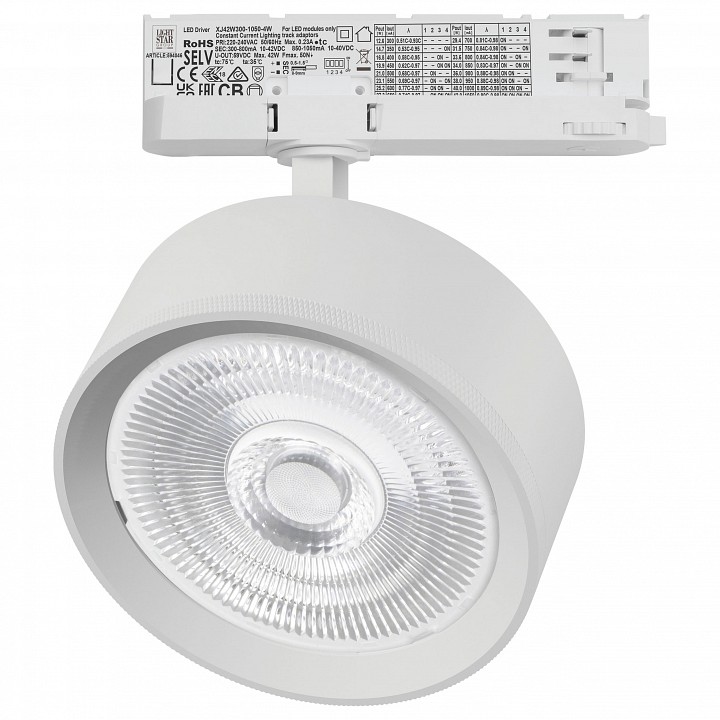 Светильник на штанге Lightstar Alta Pro A5746QT60G