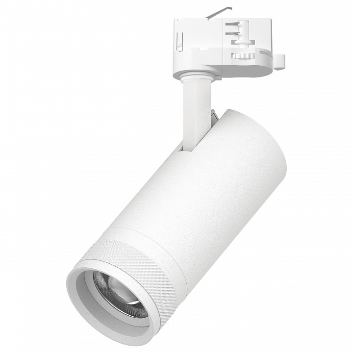 Светильник на штанге Lightstar Canno Pro C4206QT