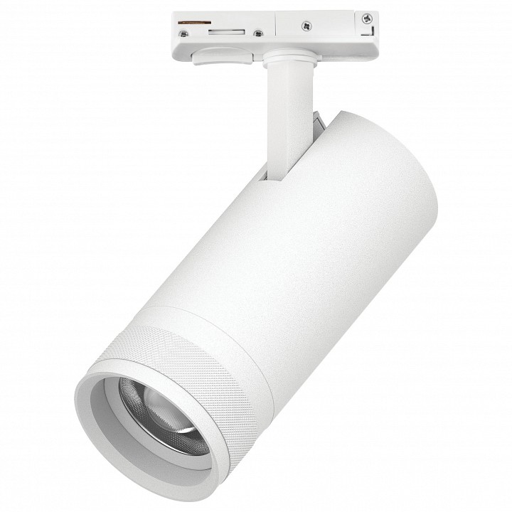 Светильник на штанге Lightstar Canno Pro C4206SS