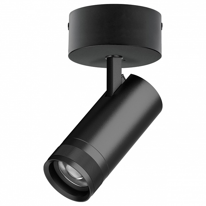 Спот Lightstar Canno Pro C4207SO