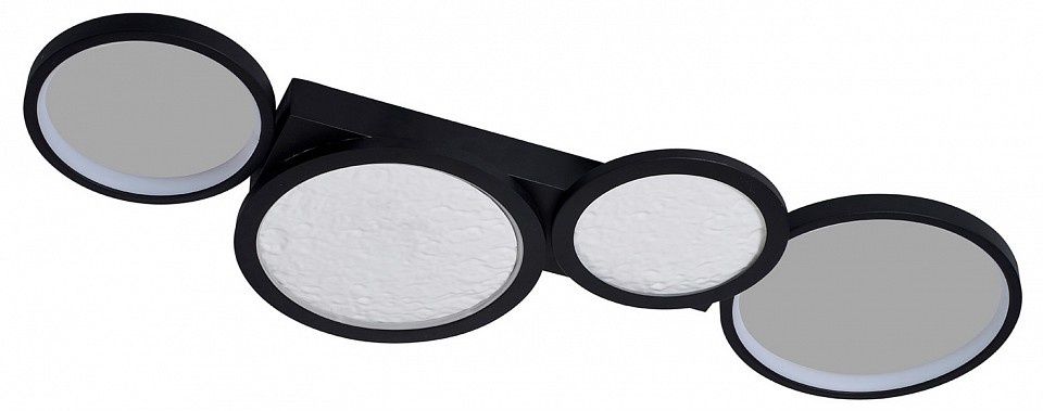 Накладной светильник Favourite Neumel 4700-4C