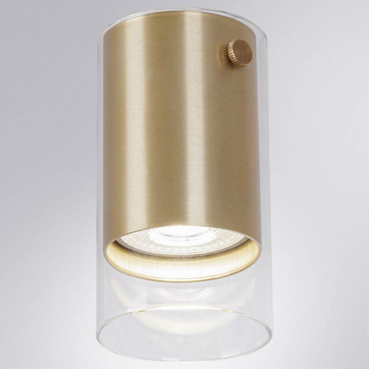 Накладной светильник Arte Lamp Lazio A5365PL-1SG