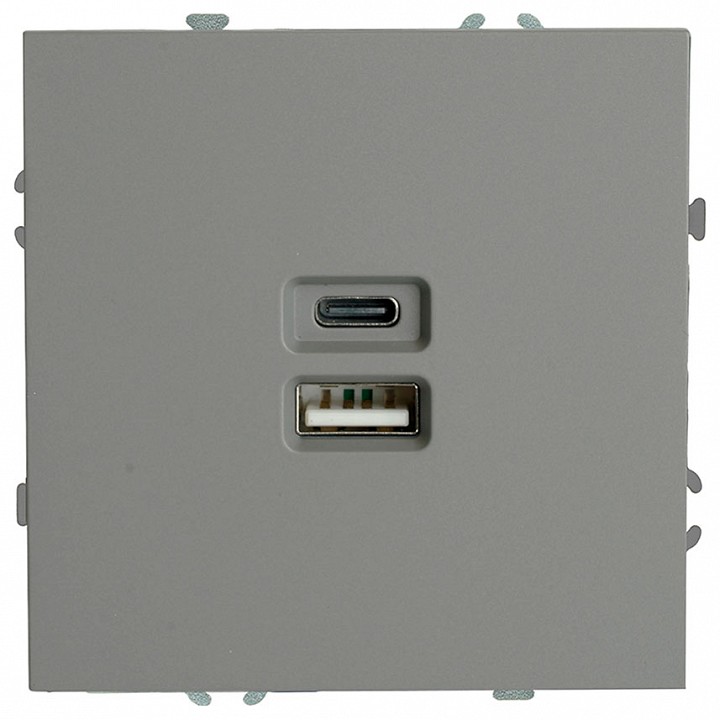Розетка 2хUSB type A и C без рамки Stekker Эмили 49957
