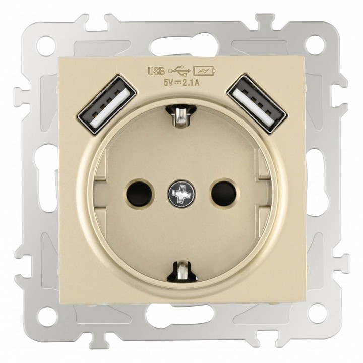 Розетка с заземлением и со шторкой и 2хUSB, без рамки Arte Milano am-206 206.47-1.shampan