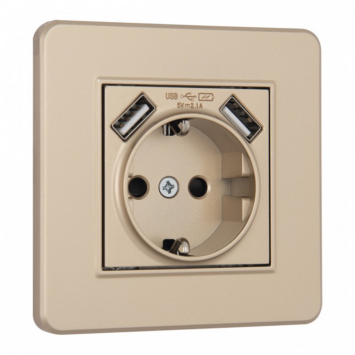 Розетка с заземлением и со шторкой и 2хUSB Arte Milano SET16-1 SET16-1-47-1 shampan
